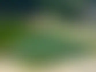 Troubleshooting Common Pool Problems: How to Address Algae, Stains, and Cloudy Water