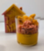 WhatsApp Image 2025-03-19 at 12.18.29.jpeg