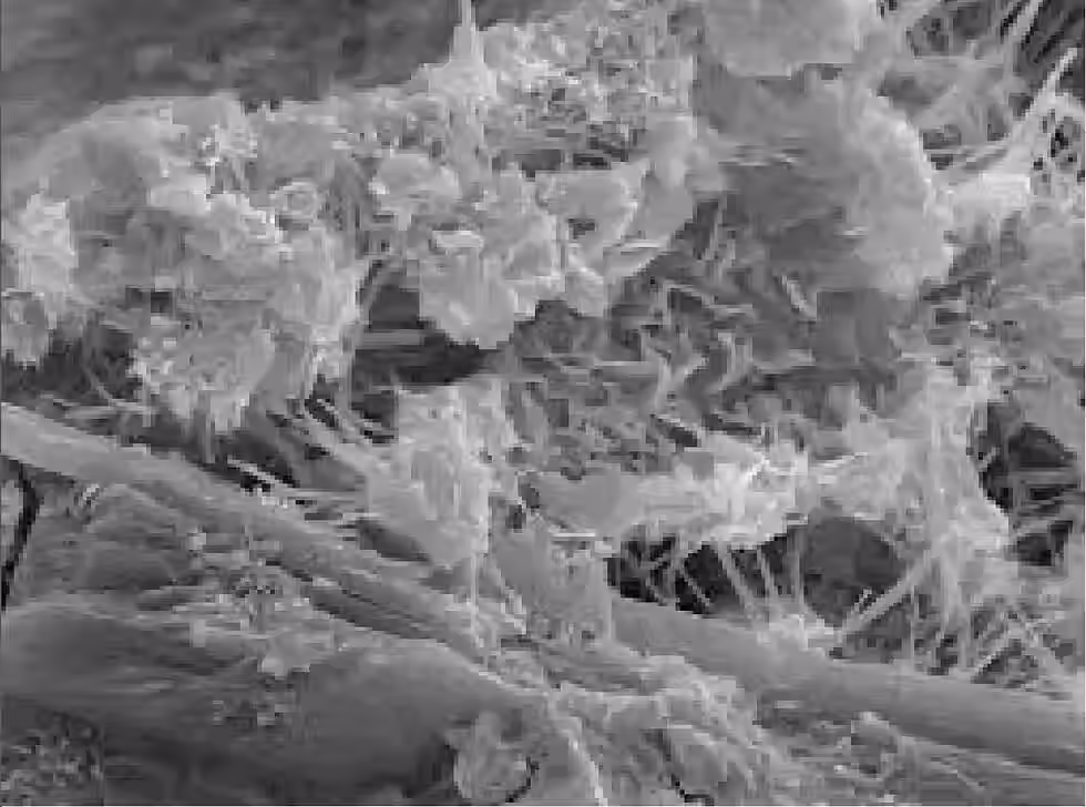 richlam crystalline waterproof admixture