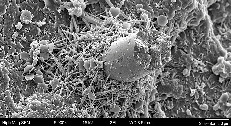 High-resolution SEM micro-image capturing the dense, void-free interfacial transition zone surrounding an HPM fiber