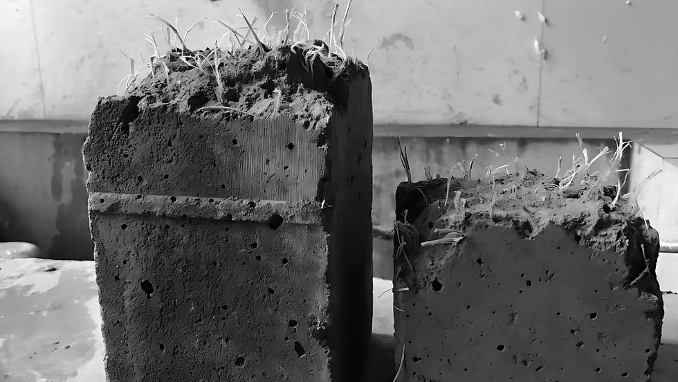 macro fibers evenly dispersed in concrete