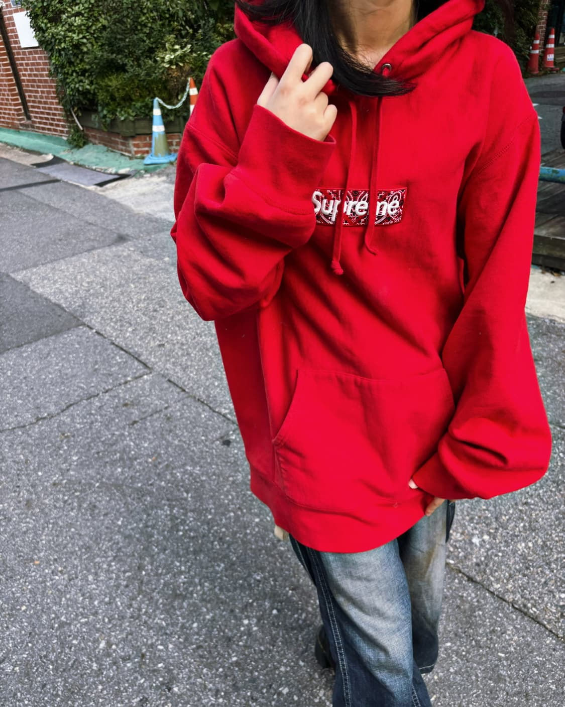 Supreme paisley box logo hoodie