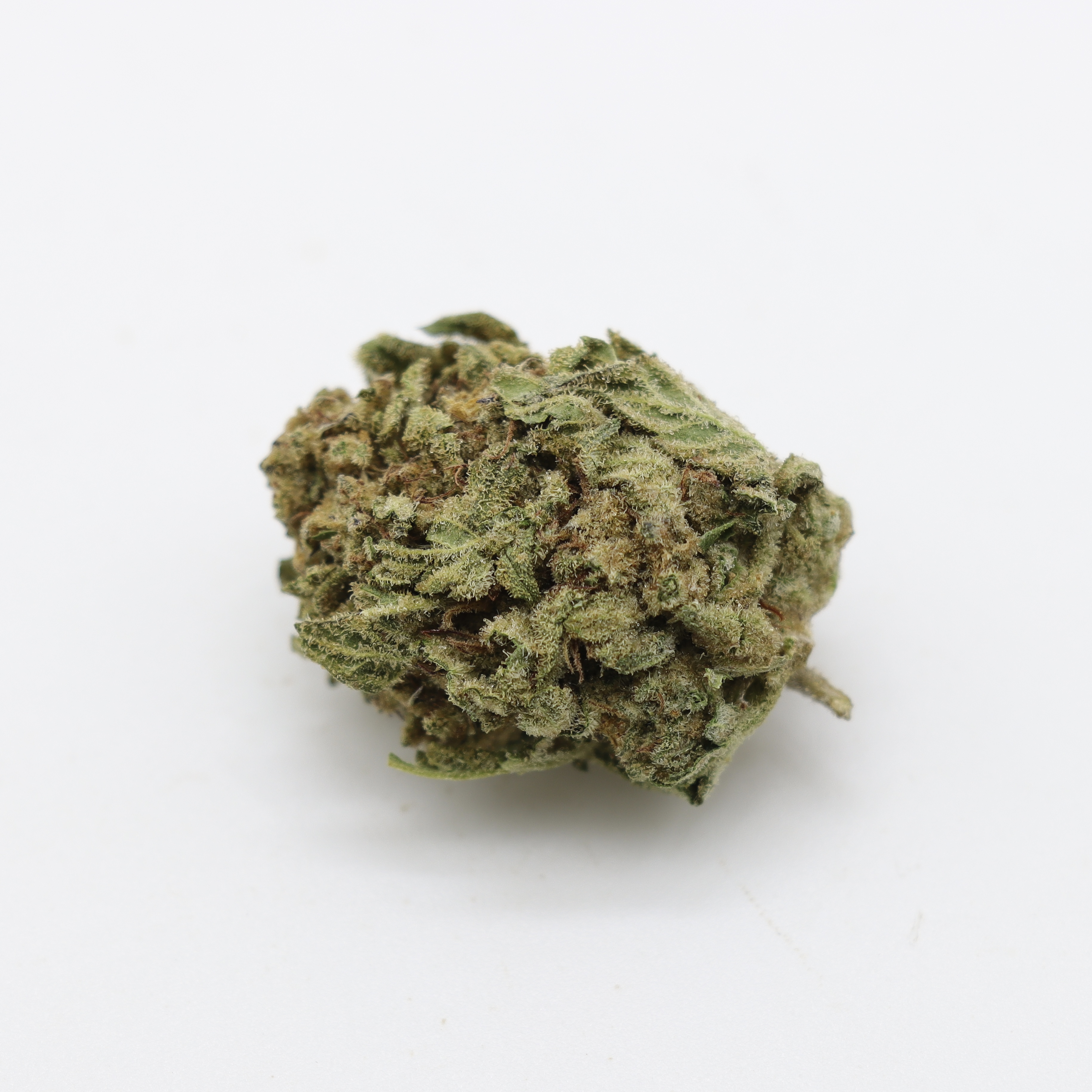 Bubble Gum (I)