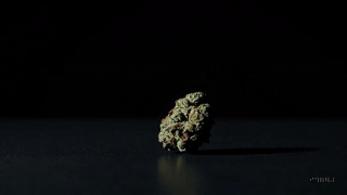 a blazing bud 