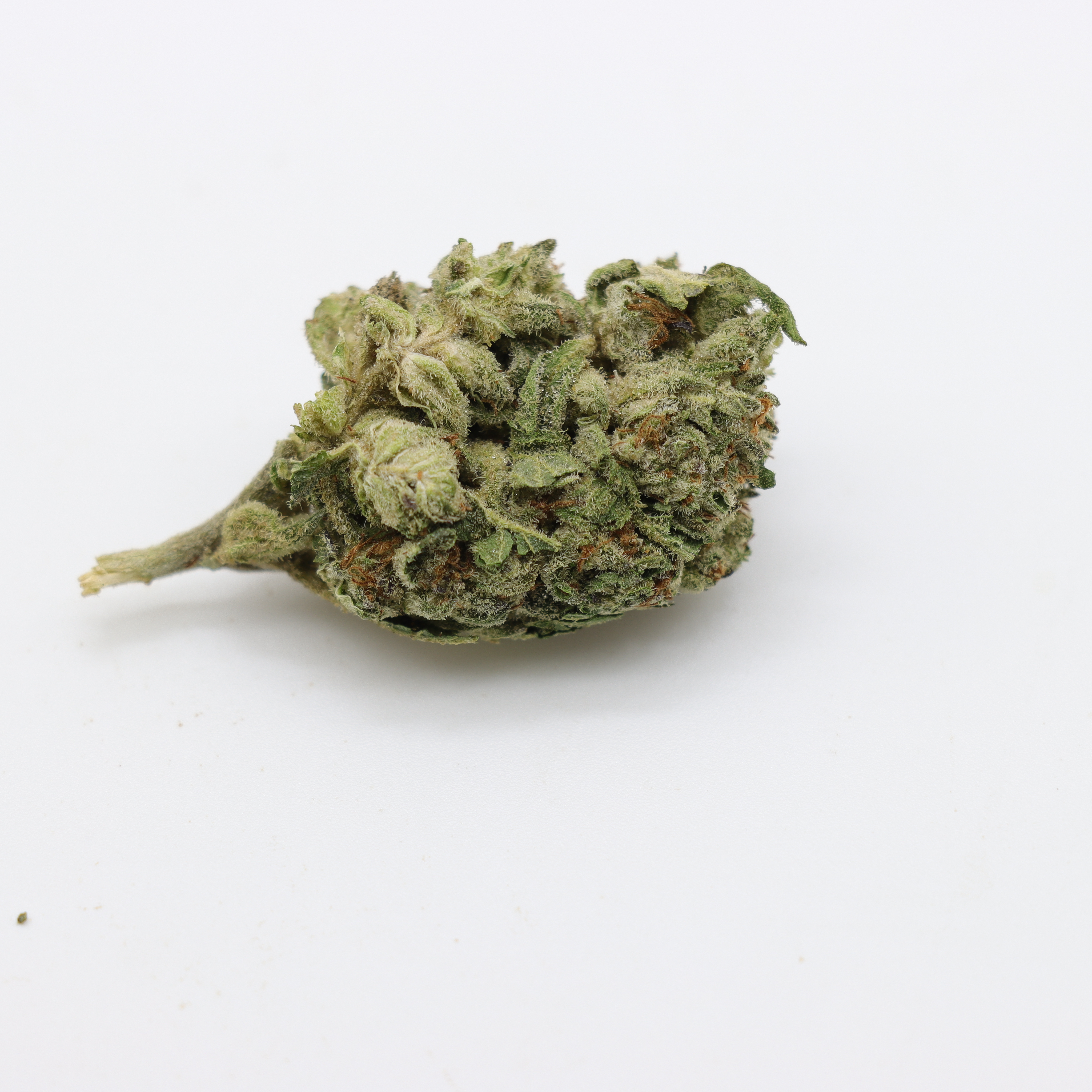 Blazing Budz's version