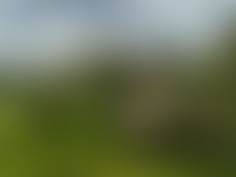 Bring Everyone Together with Spacious Group Villas in Goa