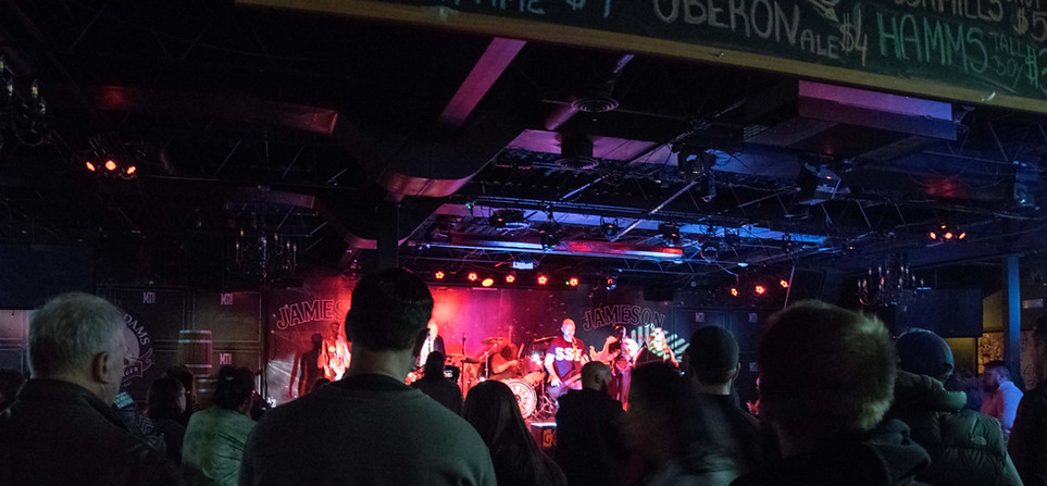 A view of Whatever Nevermind from the crowd
