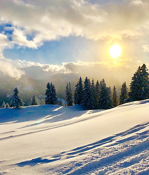 winter-season-alps-switzerland-gstaad.jpg