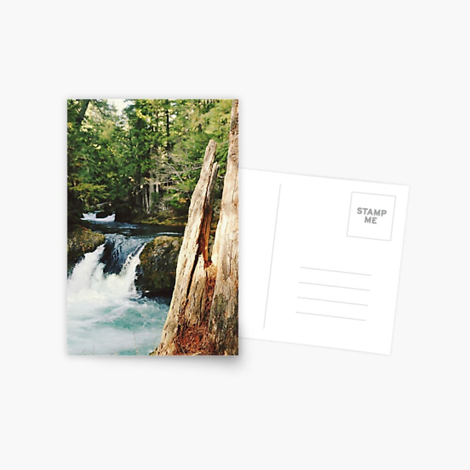 Stump-ed Over You Post Card - $2.20