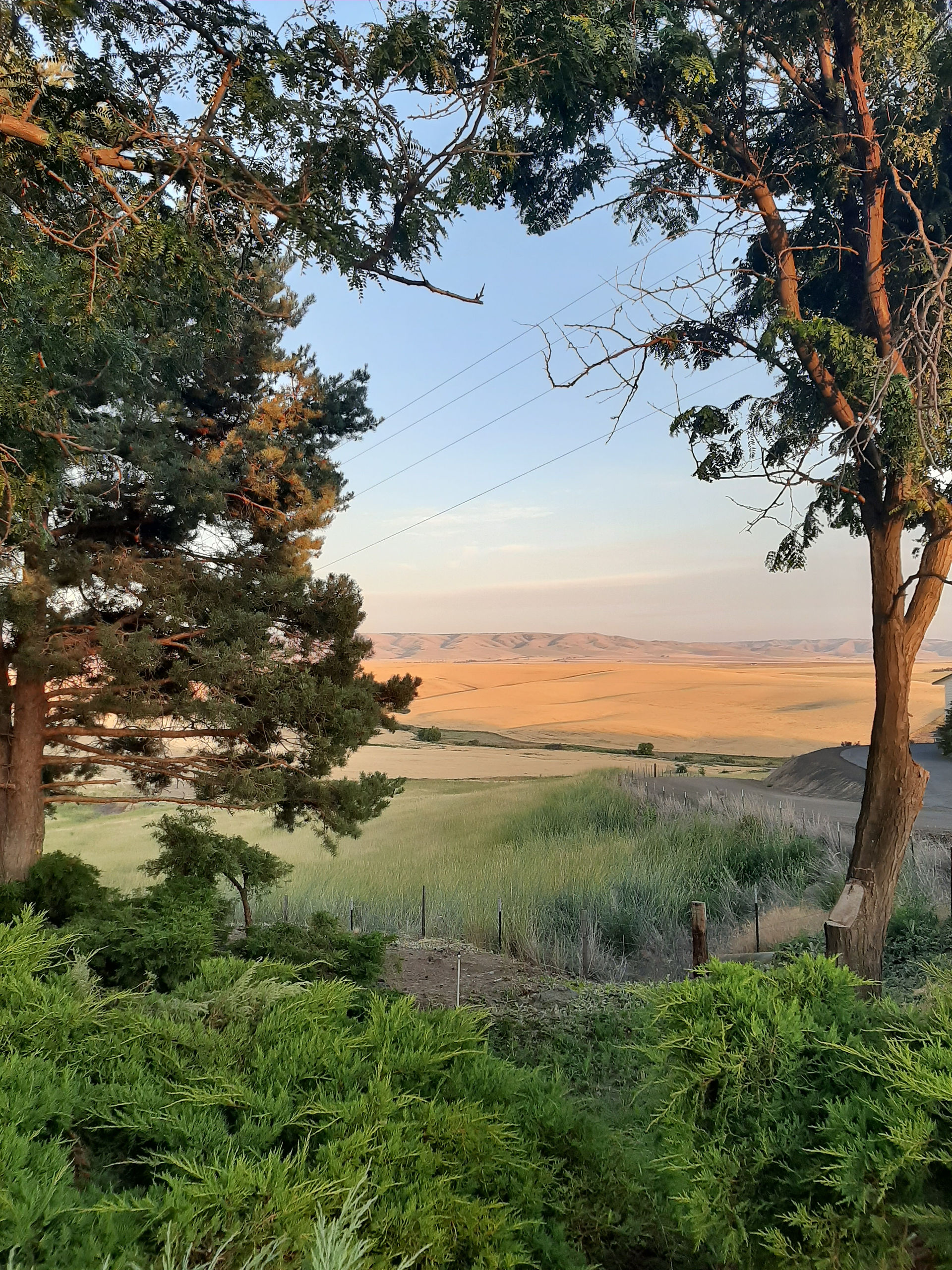 Sunset Views 2 (c) MrskrNZkry 