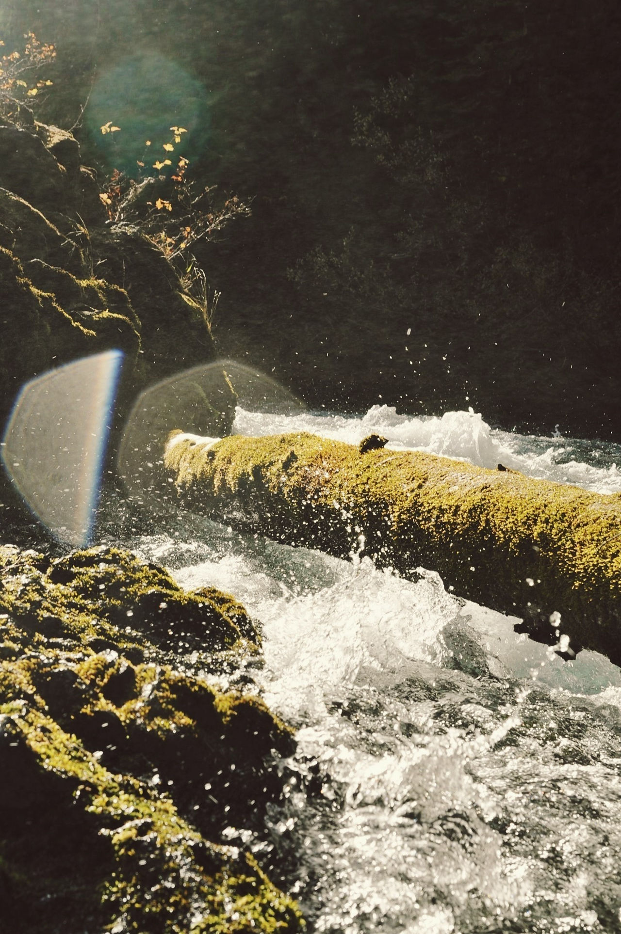 Cascading Through the Cascade Range