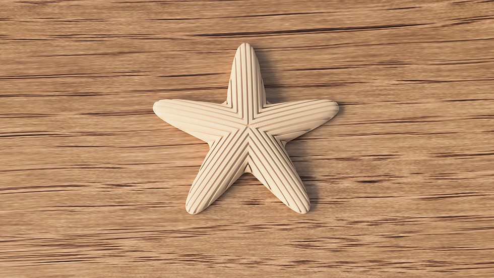 Miniaturbild: Stern beige