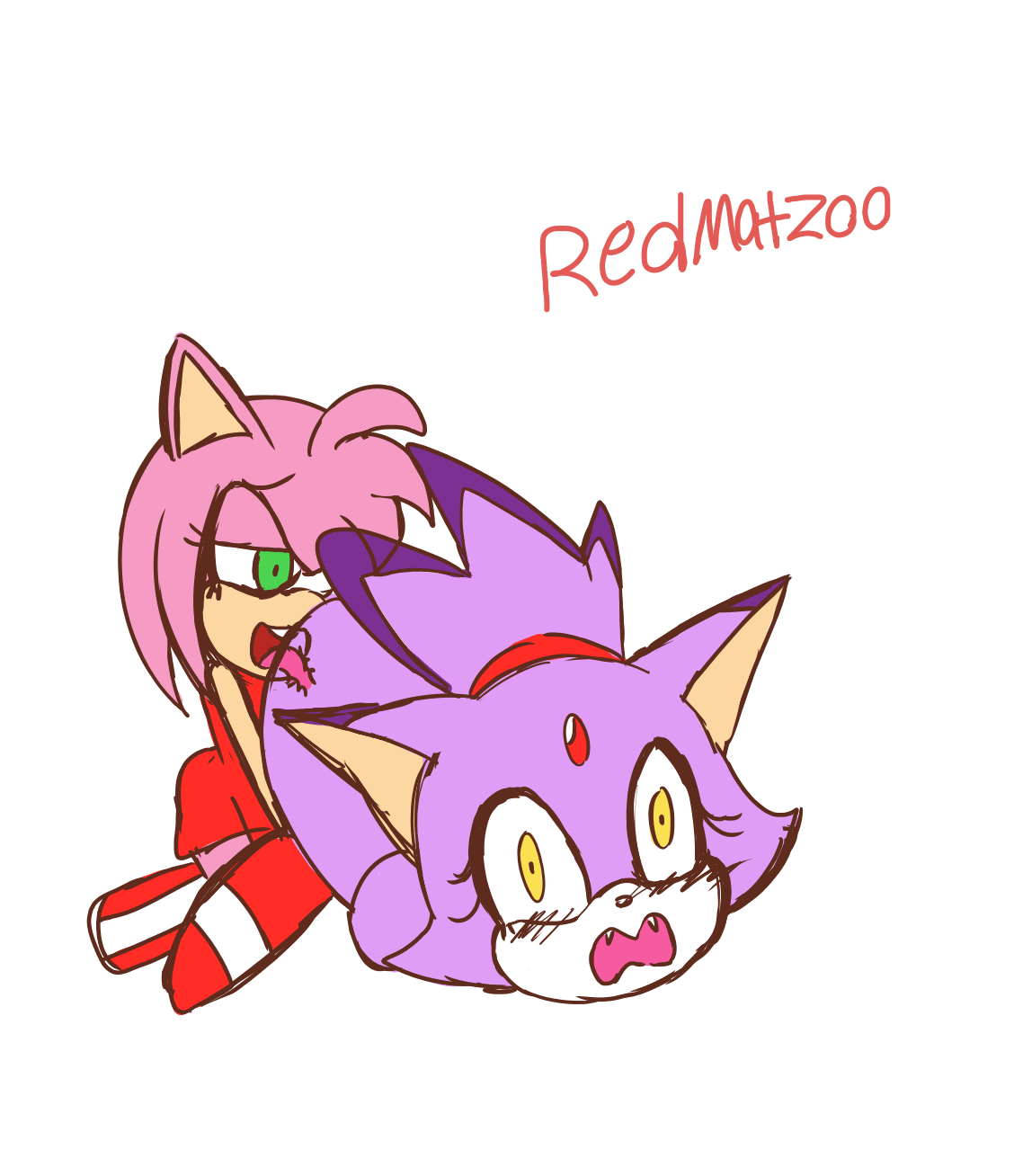 Amy_Rose_Fb_DarkRule34_083