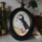 puffin puffin.jpg