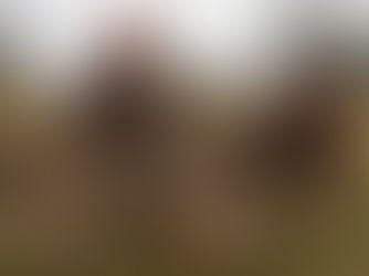 Your Title: What’s Your Blog About?