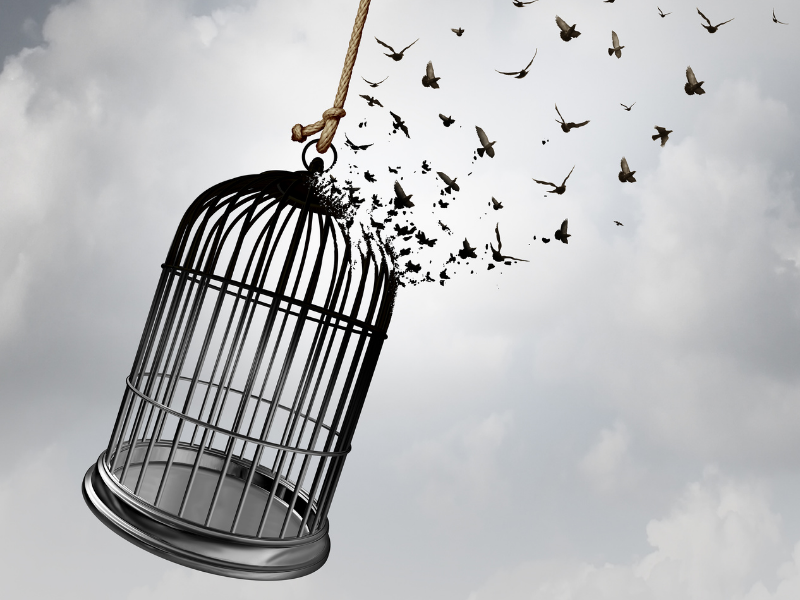 image of birds escaping from a birdcage
