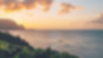 green plants near body of water during sunset_edited_edited.jpg