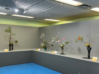 池坊 春のいけばな展 (Ikenobo Spring Ikebana Exhibition)