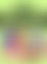 Wellesley & Bloor & Eglinton Exclusive Sale