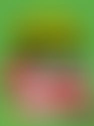 Wellesley & Bloor & Eglinton Exclusive Sale