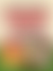 Mississauga & Oakville Exclusive Sale