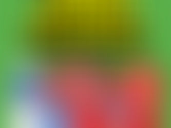 갤러리아 미드타운/다운타운 세일