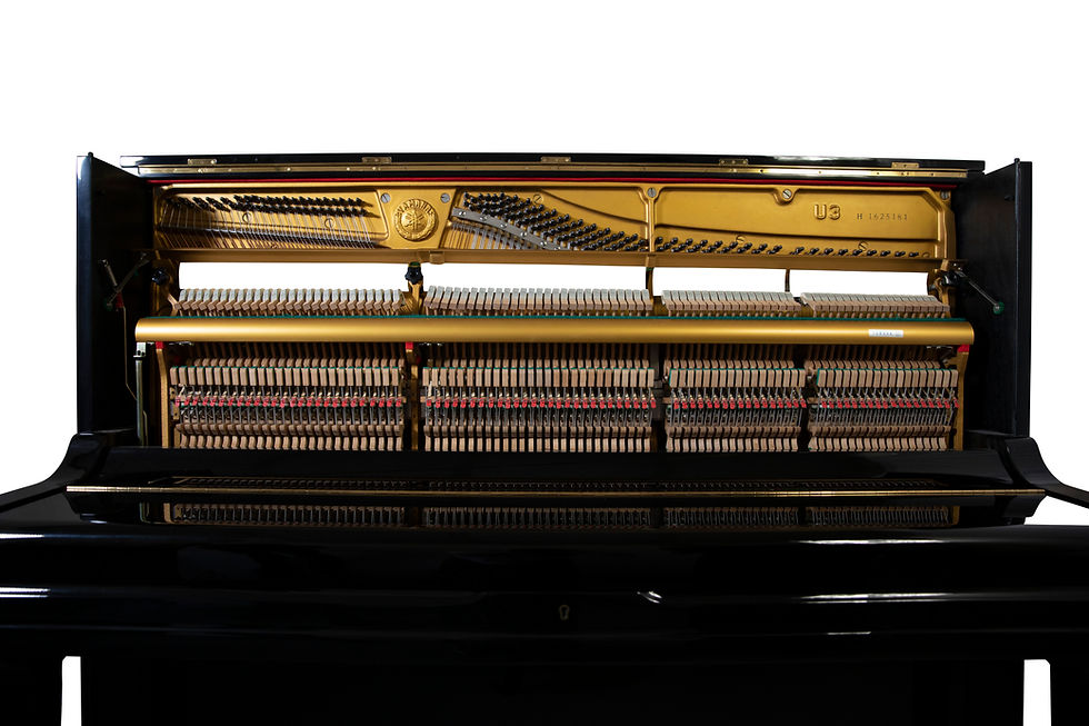 Thumbnail: Yamaha U3