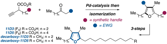 EJOC.png