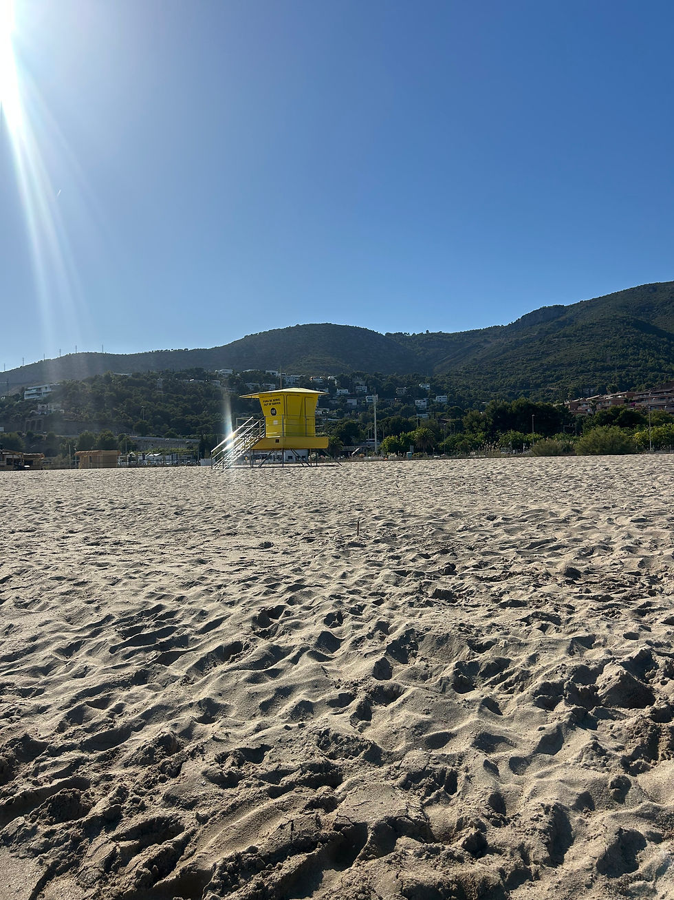 IMG_3886.jpeg