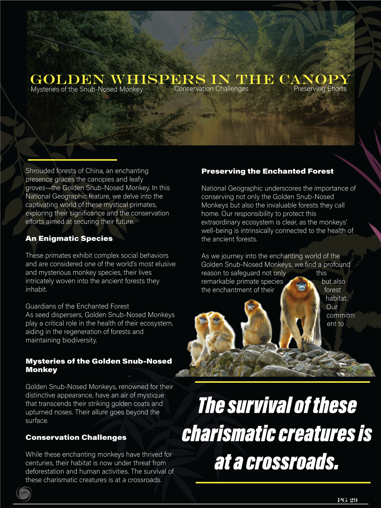 the inner page of the woman in blue with golden snub nose monkey, featuring articles about their conservation efforts.