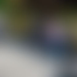 〈ハイミーキャンプ①〉