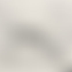 〈水族館に行こう〉