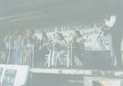 Imagen12