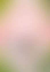 The Secret Life of My Secretary