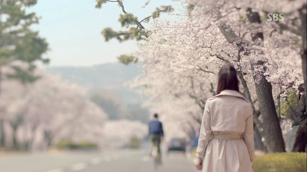 That Winter, The Wind Blows, kdrama, drama, kore dizileri, kore dizi, korean drama
