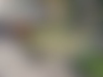 Amasya Arkeoloji Müzesi - Amasya