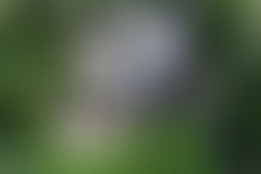 Titus Tüneli ve Beşikli Mağara - Hatay