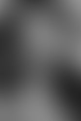 Üç şeyden asla vazgeçme