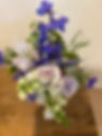 IMG_6235.jpeg