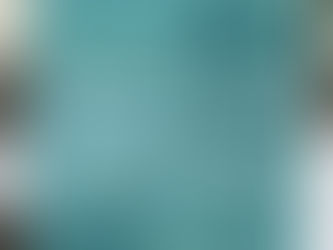 The thing about Niche Professions