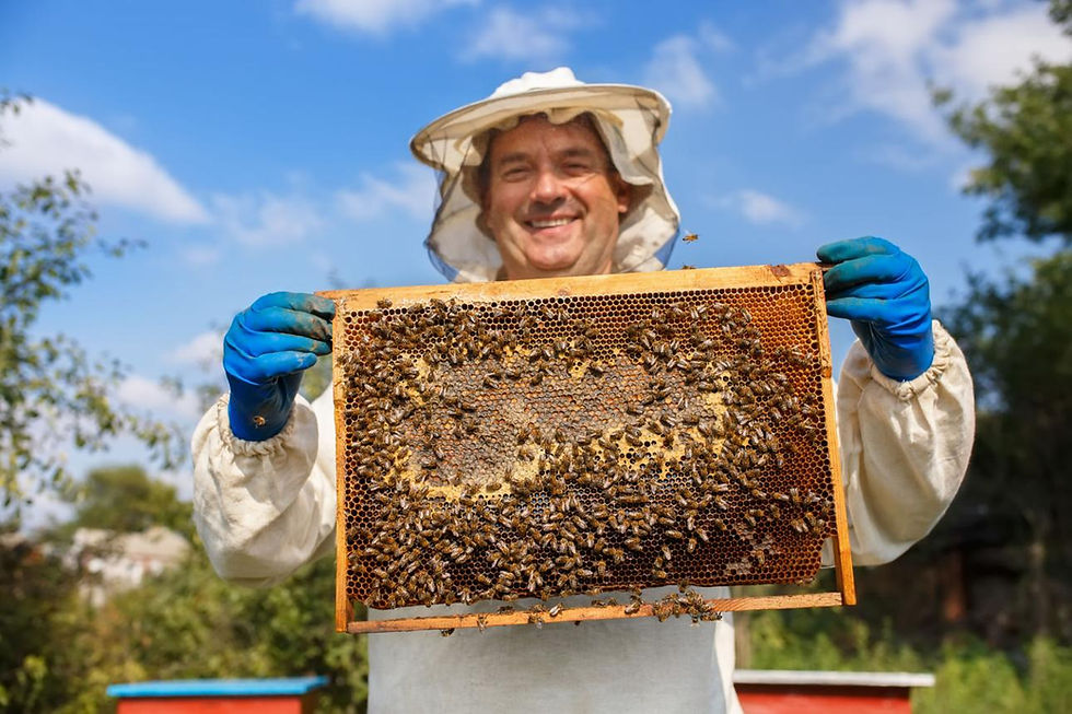 What Makes Consumers Trust Honey?