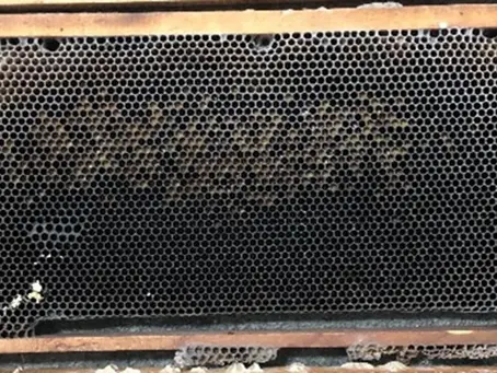 The Hidden Danger in Your Hive: How Contaminated Beeswax Can Undermine Bee Health and Productivity