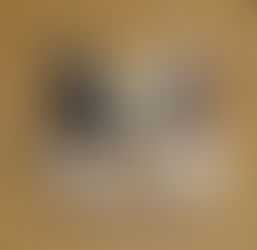 H28年2月21日~29日 第七回ニャンニャンフェスティバル展開催