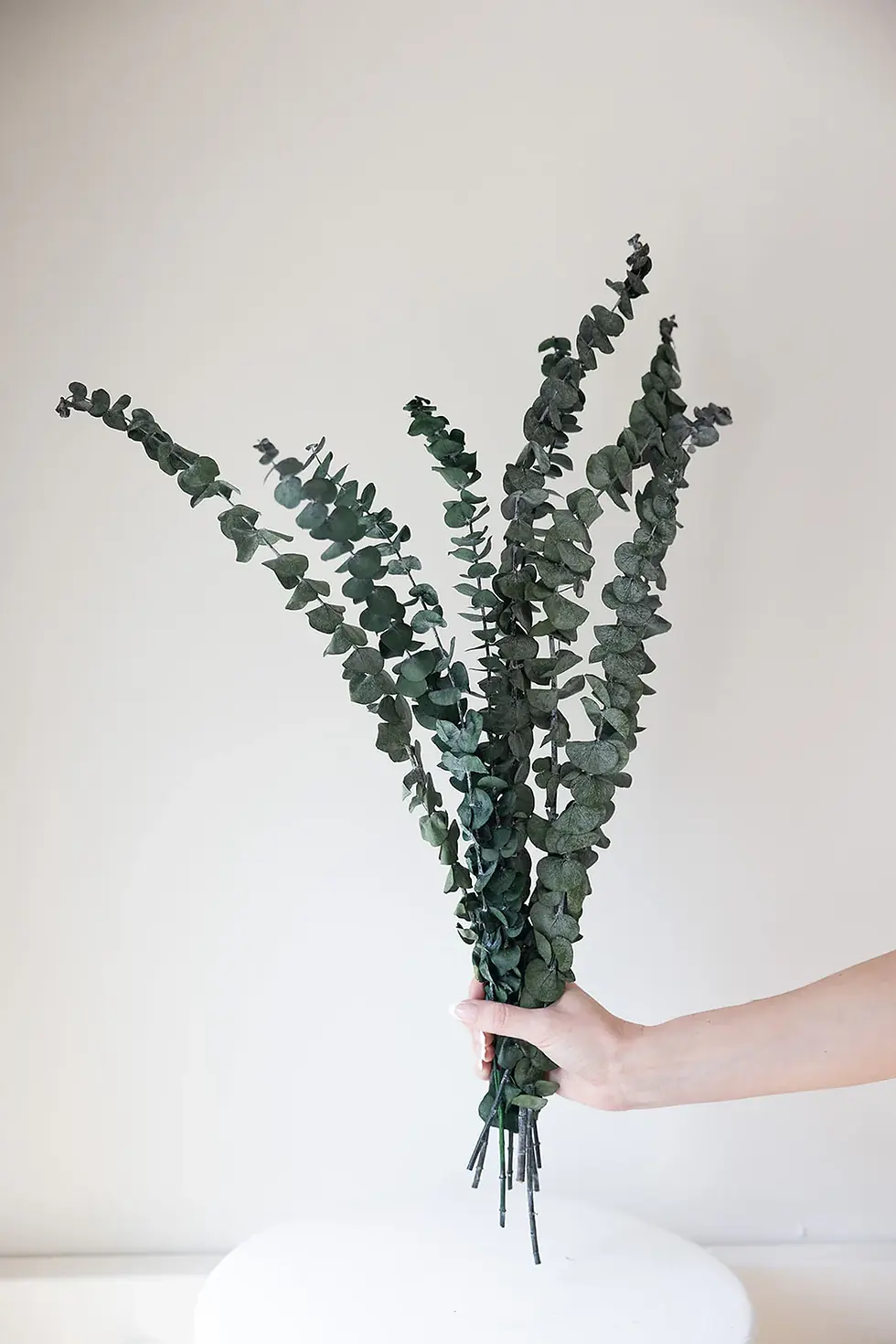 Bouquet d'eucalyptus de loin