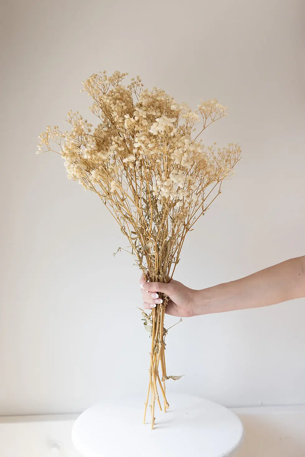 Bouquet soupirs de bébé de loin