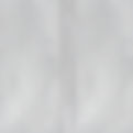 gray Background.jpg