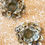 Thumbnail: Oyster Shell Candle Holder