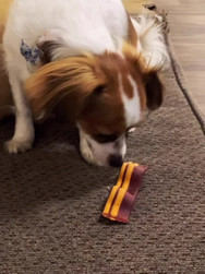 Bacon Dog Treats