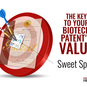 The Patent Sweet Spot: How to Identify the Real Value in a Biotech Patent Family