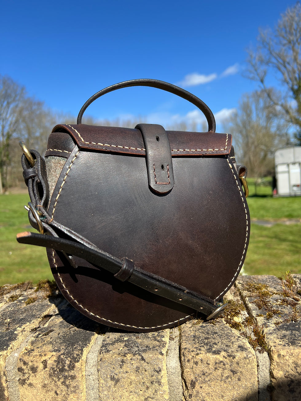 Thumbnail: “Treasured Company” A Godolphin Lucky Saddlebag